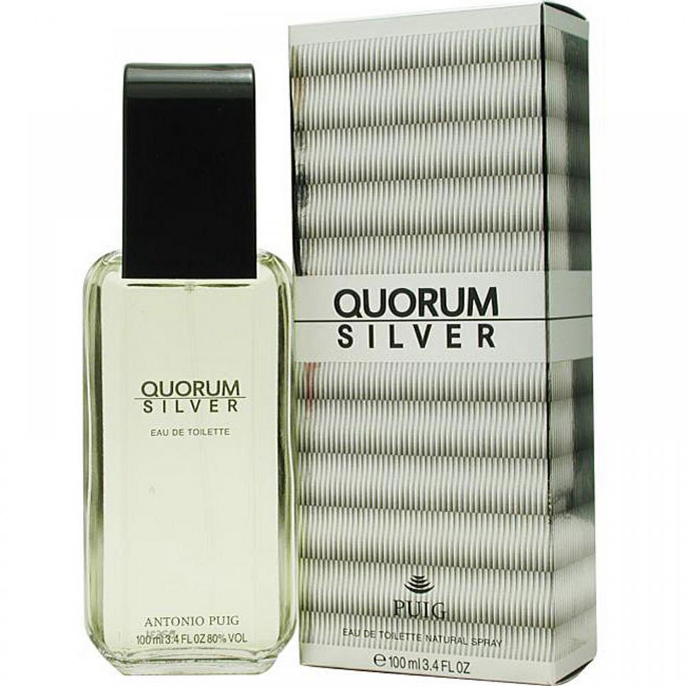 Quorum Silver 3.4 oz. EDT by Antonio Puig